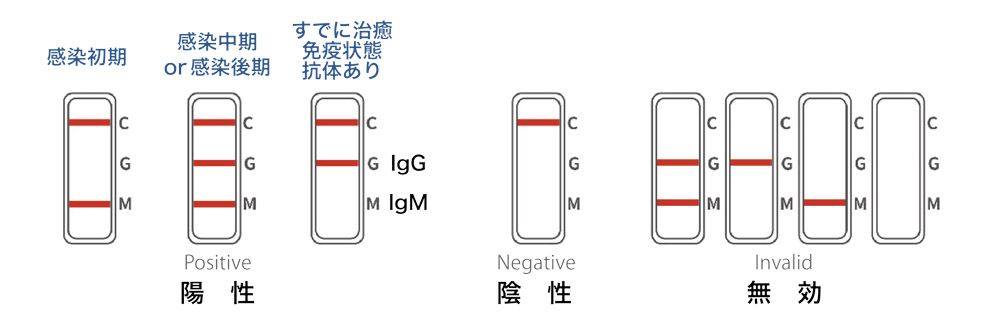 検査結果について
